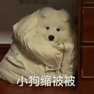 小狗缩被被