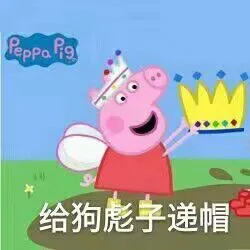 佩奇V