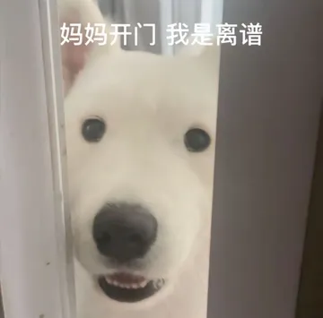 狗子：妈妈开门我是离谱表情包