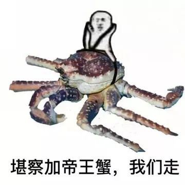 堪察加帝王蟹，我们走！