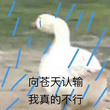 向苍天认输我真的不行