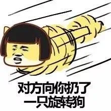 对方向你扔了只旅转狗