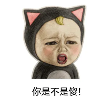 你是不是傻！（Let's go Sadayuki）