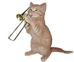 猫咪演奏 GIF 动图