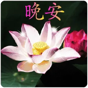 晚安