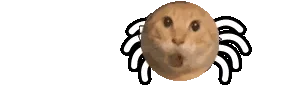蜘蛛哈基