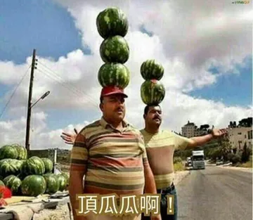 頂瓜瓜啊