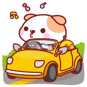 开车车