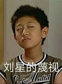 刘星的蔑视（家有儿女刘星表情包）