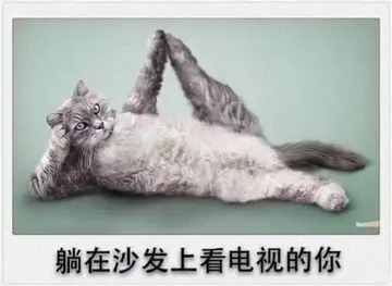 躺在沙发上看电视的你