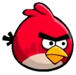 Red Bird Looking