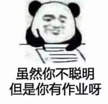 虽然你不聪明.但是你有作业呀