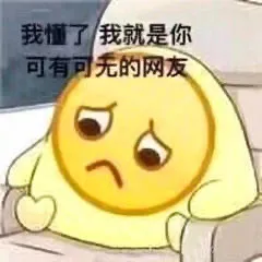 我懂了 我就是你可有可无的网友（孙一宁王思聪聊天表情包）