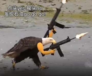 （白头海雕）鹰拿枪表情包