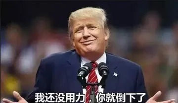 特朗普00027-我还没用力你就倒下了