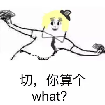 切，你算个what？