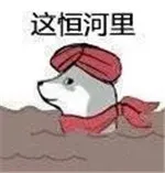 这恒河里