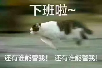 下班啦！还有谁能管我？！