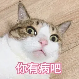 你有病吧