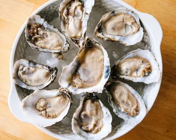 Oysters