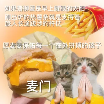 如果猪柳蛋是早上耀眼的太阳刚出炉的热薯条就是支持着旅人长途跋涉的杵杖愿麦麦保佑每一个在外拼搏的孩子麦门
