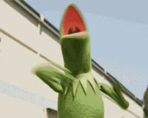 青蛙 memes