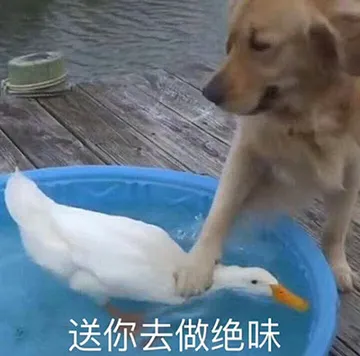 抓鸭子，送你去做绝味（狗子按鸭子）