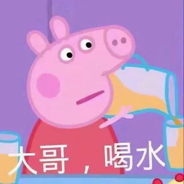 佩奇IV