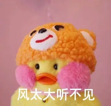 风太大听不见