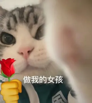猫咪头拿玫瑰 做我的女孩