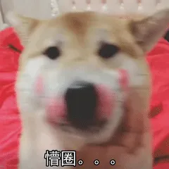 懵圈！