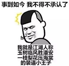 事到如今，我不得不承认了，我就是江湖人称玉树临风胜潘安，一枝梨花压海棠的装逼小王子。