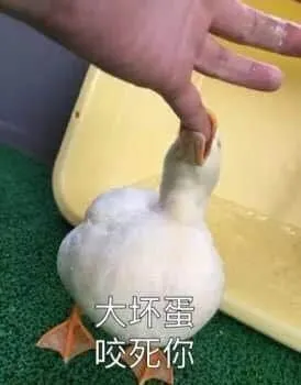 开心鸭00022-大坏蛋咬死你