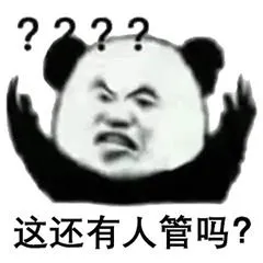 ?2??这还有人管吗？