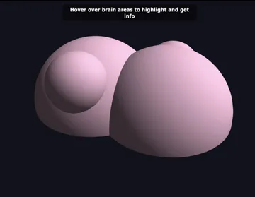 What ChatGPT Thinks A Brain Looks Like