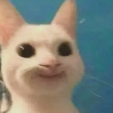 猫猫头表情包