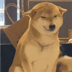 扇柴犬耳光表情包动图，扇柴犬一巴掌gif