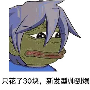 只花了30块，新发型帅到爆