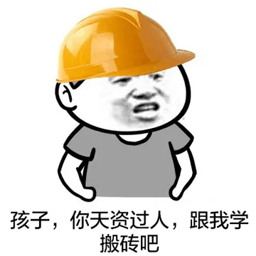孩子，你天资过人，跟我学板砖吧