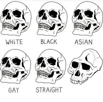 Skull Comparison
