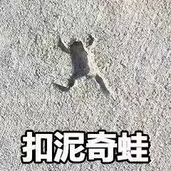 口尼奇瓦