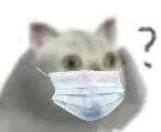 戴口罩疑问表情