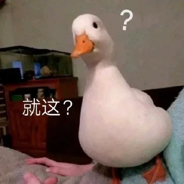 就这?