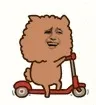 骑车去
