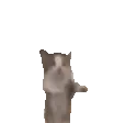 猫猫动图表情包