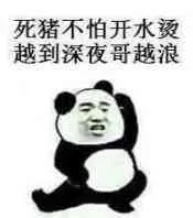 死猪不怕开水烫，越到深夜哥越浪