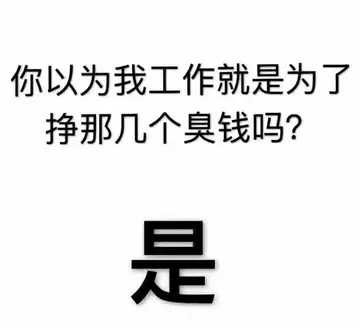 你以为我工作就是为了挣那几个臭钱吗?