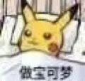 做宝可梦