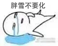 胖雪不要化