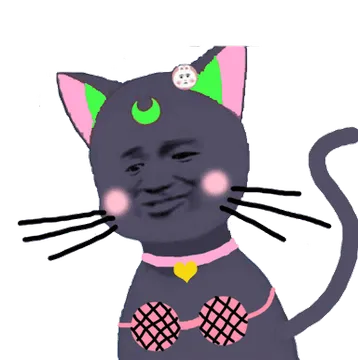 蓝色的猫，额头月亮，穿内衣